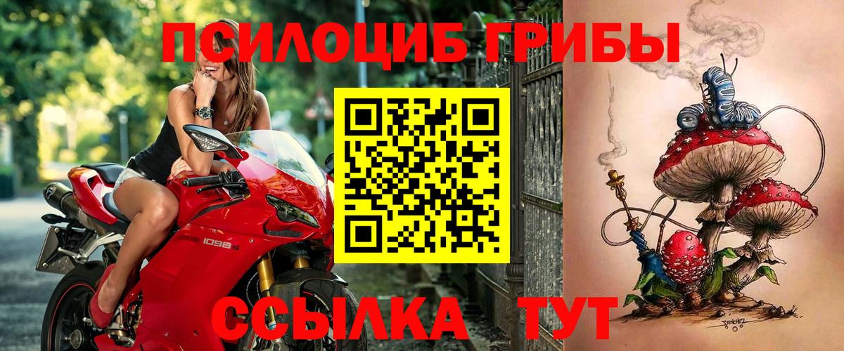 Долгопрудный  Псилоцибиновые грибы MAGIC MUSHROOMS  Вход с VPN  Галлюциногенные грибы мицелий 