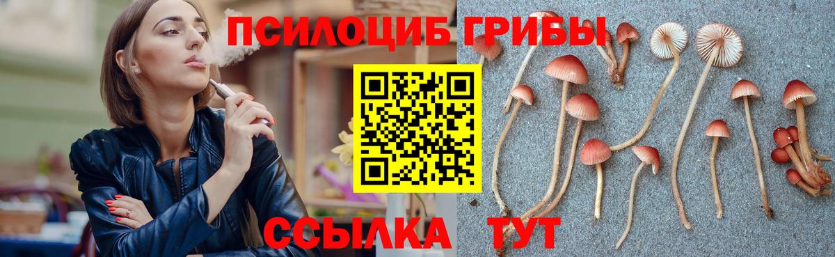 Галлюциногенные грибы Cubensis Долгопрудный